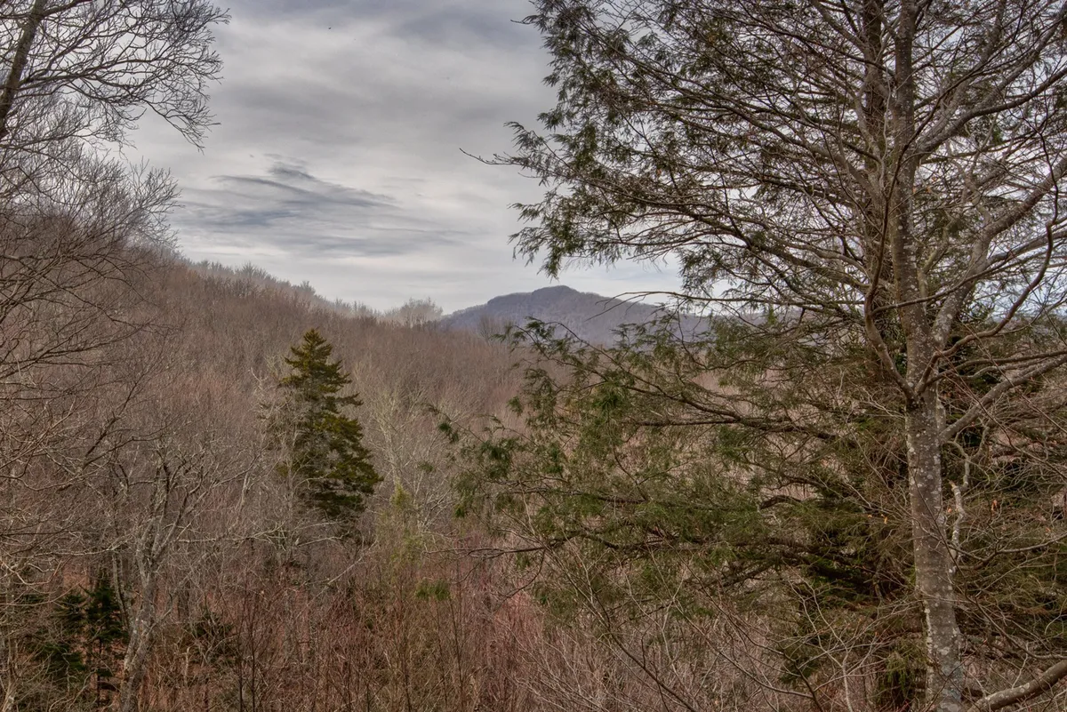 A peaceful view of distant mountains, framed by bare and evergreen trees. The vista evokes tranquility and sets a scenic backdrop for any group activity, reinforcing the cabin’s picturesque setting and proximity to natural beauty.
