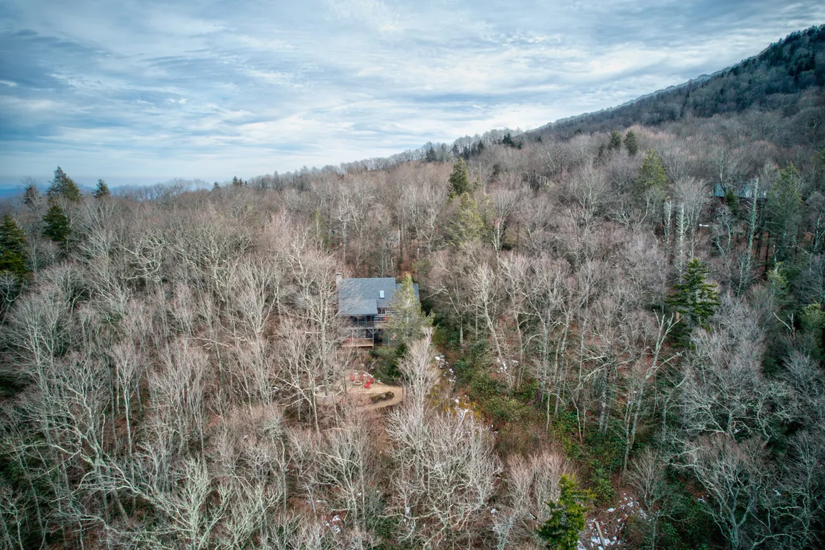 This exterior shot features the house nestled among mature trees, with a clear path leading up to the front entrance. The setting feels private and surrounded by nature, creating an ideal environment for outdoor exploration with a pet. The natural landscaping and spacious yard evoke a sense of freedom and safety for pets to roam.